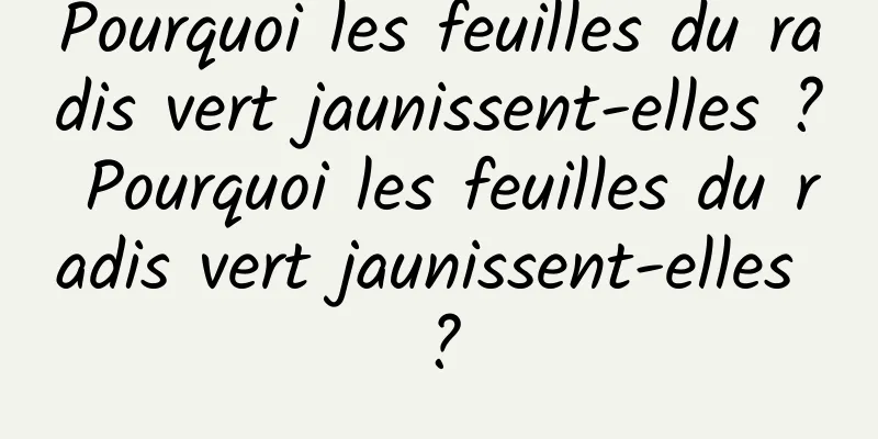 Pourquoi les feuilles du radis vert jaunissent-elles ? Pourquoi les feuilles du radis vert jaunissent-elles ?