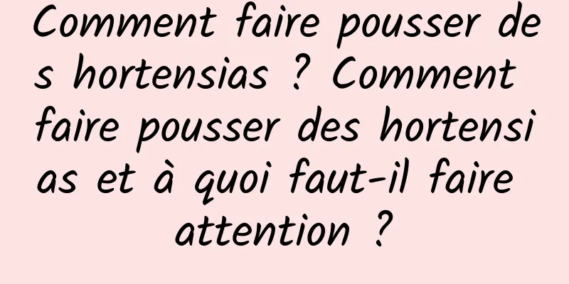 Comment faire pousser des hortensias ? Comment faire pousser des hortensias et à quoi faut-il faire attention ?