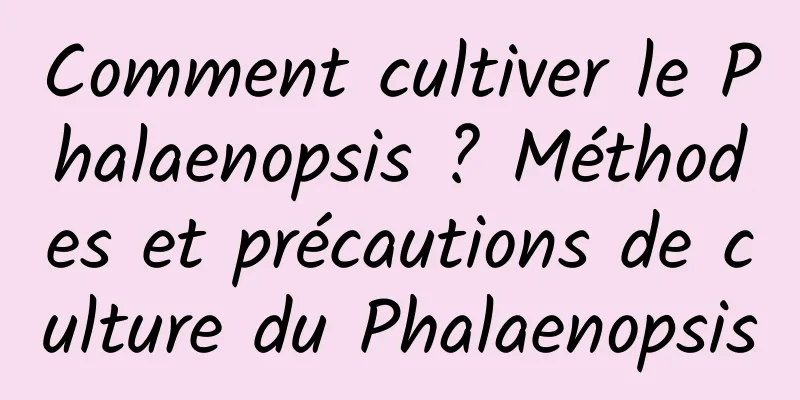 Comment cultiver le Phalaenopsis ? Méthodes et précautions de culture du Phalaenopsis