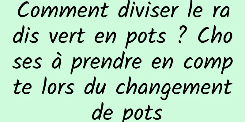 Comment diviser le radis vert en pots ? Choses à prendre en compte lors du changement de pots