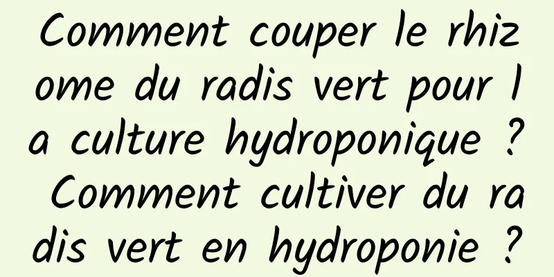 Comment couper le rhizome du radis vert pour la culture hydroponique ? Comment cultiver du radis vert en hydroponie ?