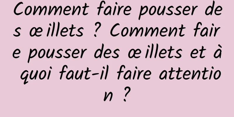 Comment faire pousser des œillets ? Comment faire pousser des œillets et à quoi faut-il faire attention ?