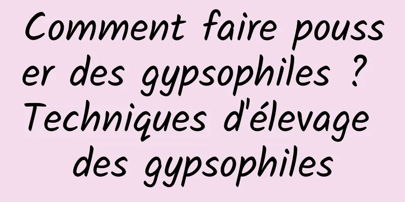 Comment faire pousser des gypsophiles ? Techniques d'élevage des gypsophiles