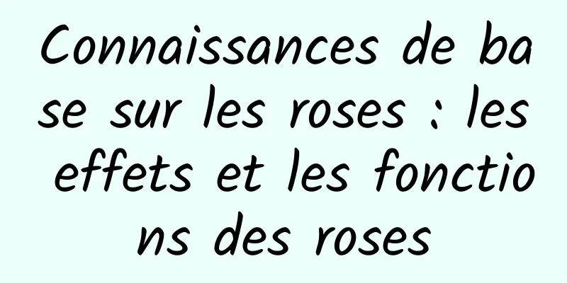 Connaissances de base sur les roses : les effets et les fonctions des roses