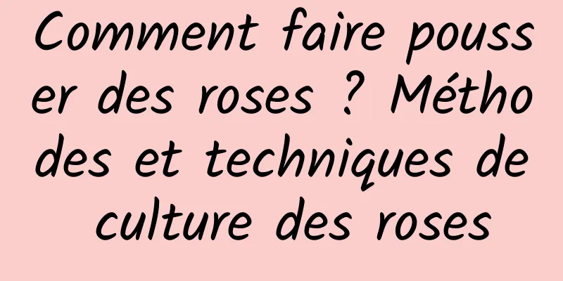 Comment faire pousser des roses ? Méthodes et techniques de culture des roses