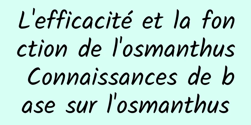 L'efficacité et la fonction de l'osmanthus Connaissances de base sur l'osmanthus