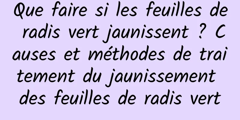 Que faire si les feuilles de radis vert jaunissent ? Causes et méthodes de traitement du jaunissement des feuilles de radis vert