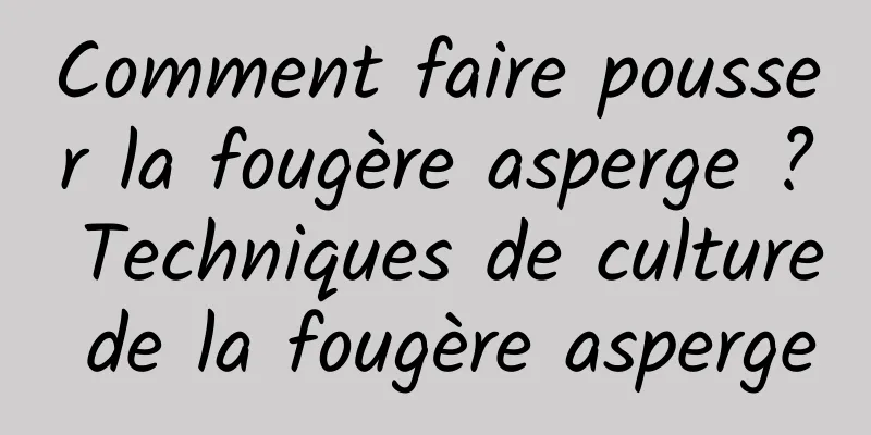 Comment faire pousser la fougère asperge ? Techniques de culture de la fougère asperge