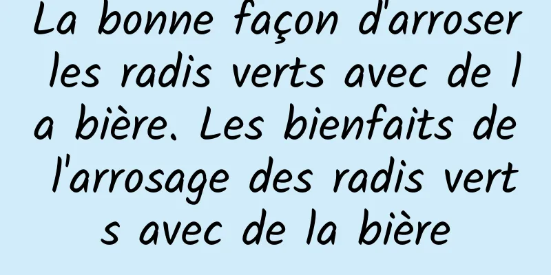 La bonne façon d'arroser les radis verts avec de la bière. Les bienfaits de l'arrosage des radis verts avec de la bière