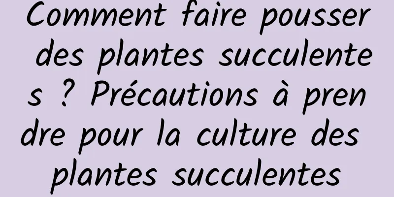 Comment faire pousser des plantes succulentes ? Précautions à prendre pour la culture des plantes succulentes