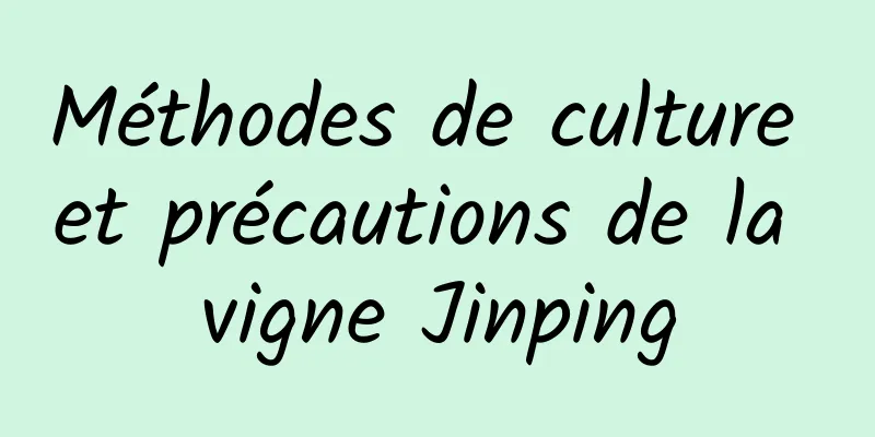 Méthodes de culture et précautions de la vigne Jinping