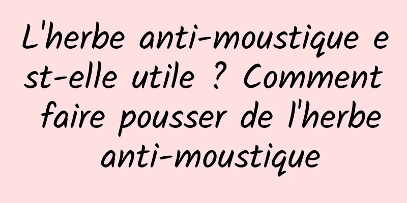 L'herbe anti-moustique est-elle utile ? Comment faire pousser de l'herbe anti-moustique