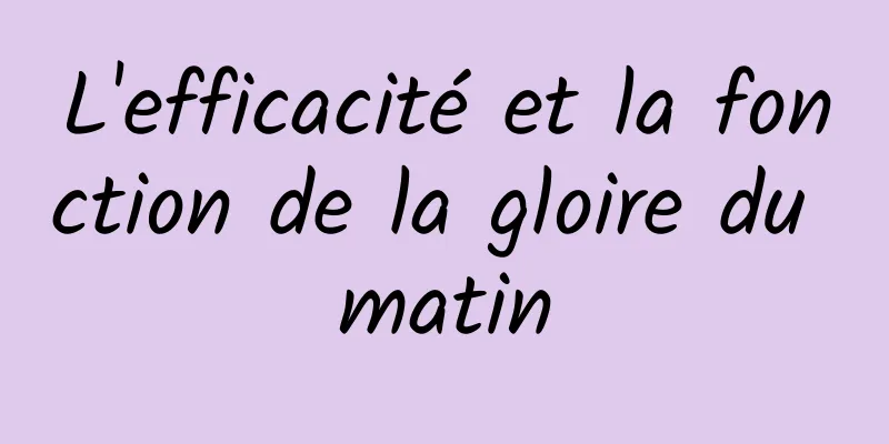 L'efficacité et la fonction de la gloire du matin