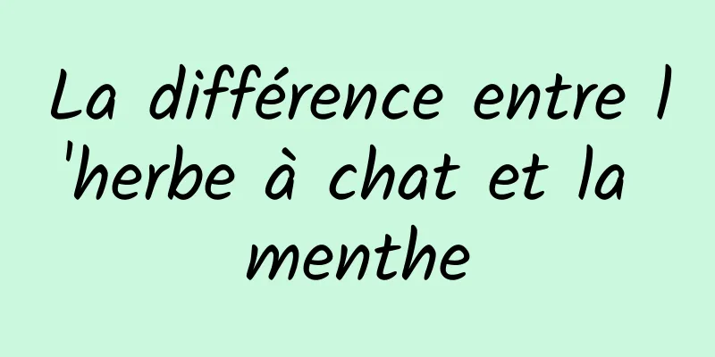 La différence entre l'herbe à chat et la menthe