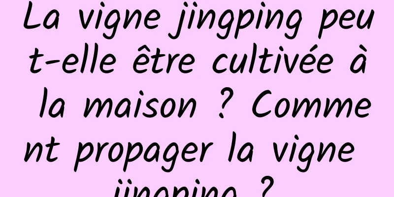 La vigne jingping peut-elle être cultivée à la maison ? Comment propager la vigne jingping ?