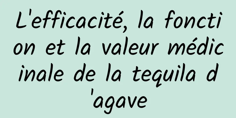 L'efficacité, la fonction et la valeur médicinale de la tequila d'agave