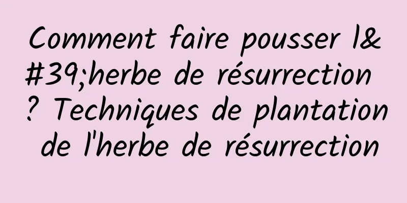 Comment faire pousser l'herbe de résurrection ? Techniques de plantation de l'herbe de résurrection