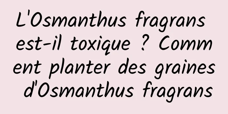 L'Osmanthus fragrans est-il toxique ? Comment planter des graines d'Osmanthus fragrans