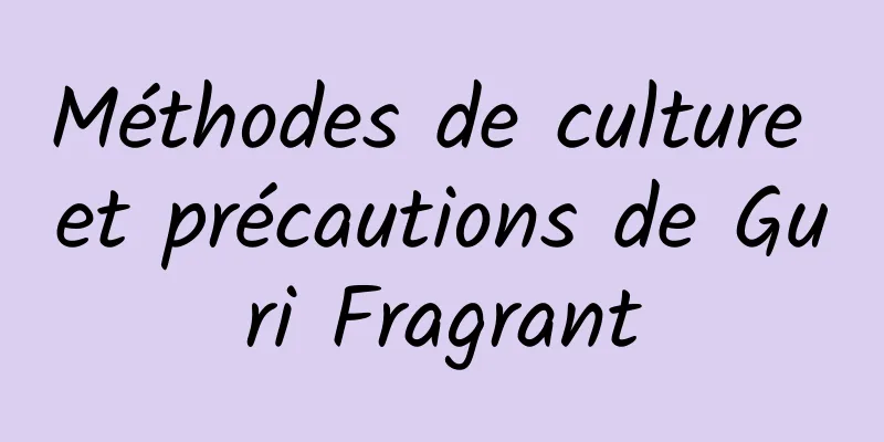 Méthodes de culture et précautions de Guri Fragrant