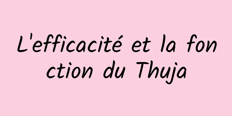 L'efficacité et la fonction du Thuja