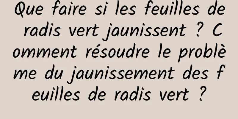 Que faire si les feuilles de radis vert jaunissent ? Comment résoudre le problème du jaunissement des feuilles de radis vert ?