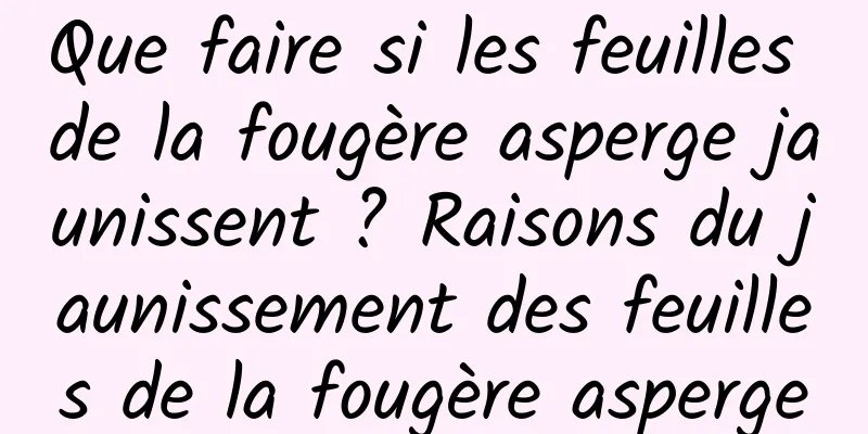 Que faire si les feuilles de la fougère asperge jaunissent ? Raisons du jaunissement des feuilles de la fougère asperge