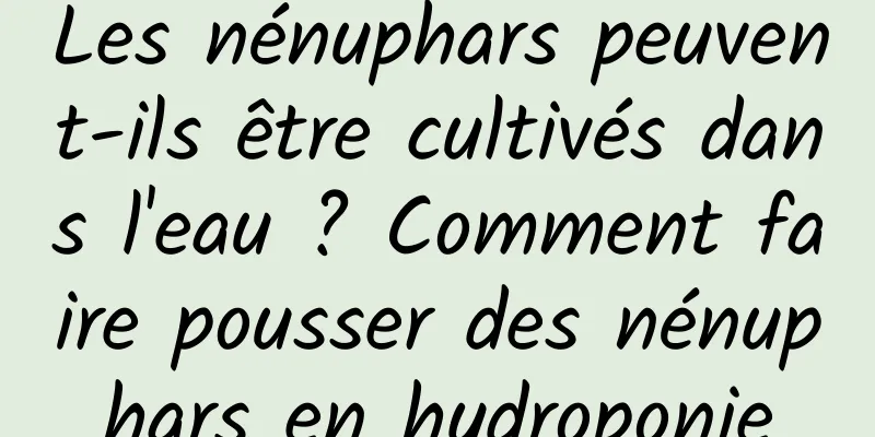 Les nénuphars peuvent-ils être cultivés dans l'eau ? Comment faire pousser des nénuphars en hydroponie