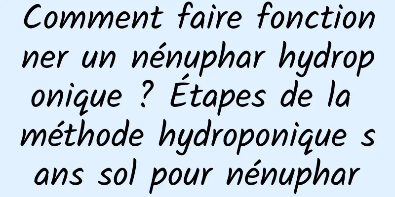 Comment faire fonctionner un nénuphar hydroponique ? Étapes de la méthode hydroponique sans sol pour nénuphar