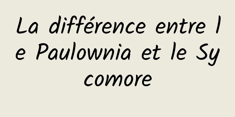 La différence entre le Paulownia et le Sycomore