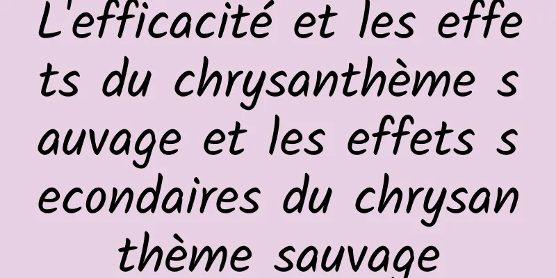 L'efficacité et les effets du chrysanthème sauvage et les effets secondaires du chrysanthème sauvage