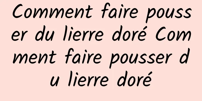 Comment faire pousser du lierre doré Comment faire pousser du lierre doré