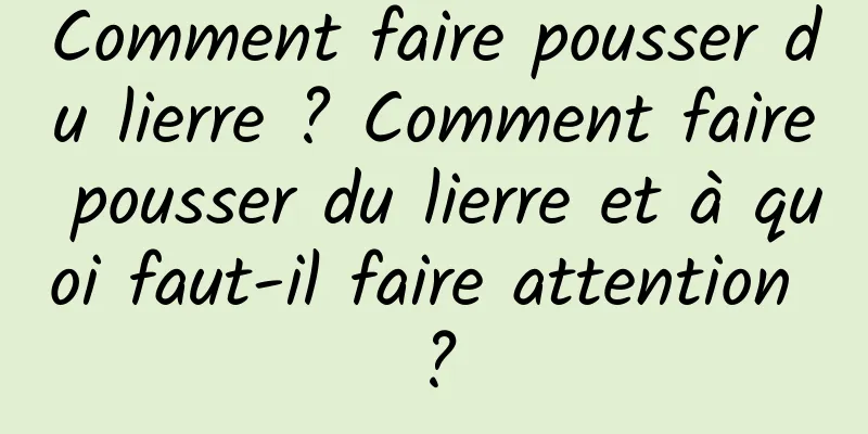 Comment faire pousser du lierre ? Comment faire pousser du lierre et à quoi faut-il faire attention ?