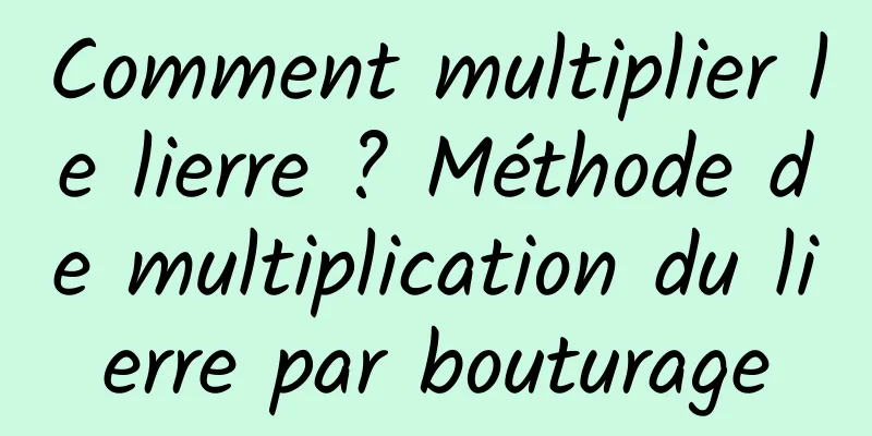 Comment multiplier le lierre ? Méthode de multiplication du lierre par bouturage