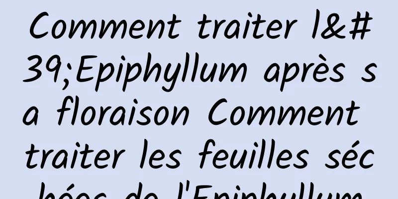 Comment traiter l'Epiphyllum après sa floraison Comment traiter les feuilles séchées de l'Epiphyllum