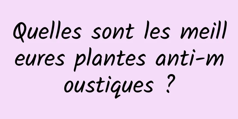 Quelles sont les meilleures plantes anti-moustiques ?