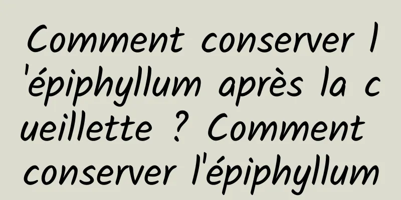 Comment conserver l'épiphyllum après la cueillette ? Comment conserver l'épiphyllum