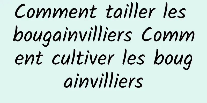 Comment tailler les bougainvilliers Comment cultiver les bougainvilliers