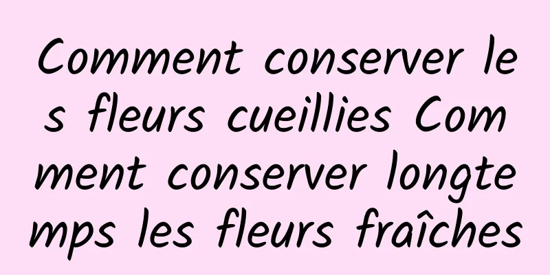 Comment conserver les fleurs cueillies Comment conserver longtemps les fleurs fraîches