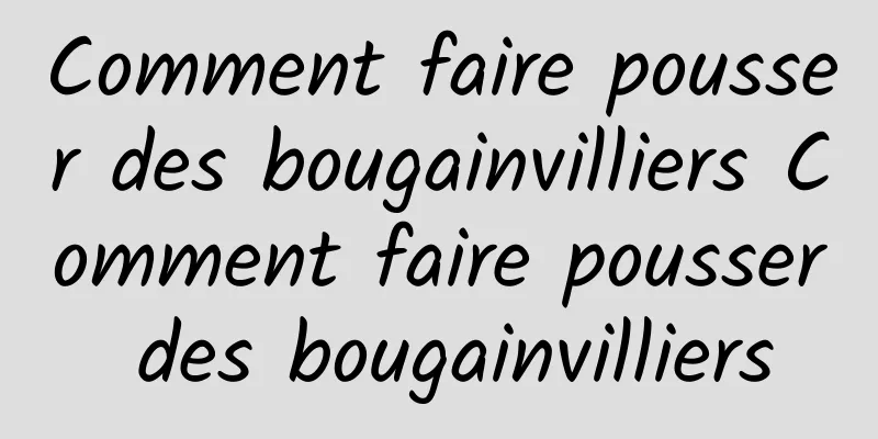 Comment faire pousser des bougainvilliers Comment faire pousser des bougainvilliers