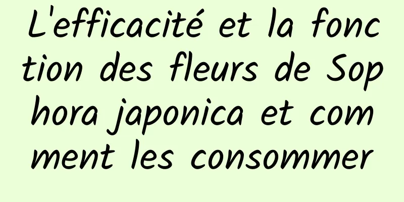 L'efficacité et la fonction des fleurs de Sophora japonica et comment les consommer