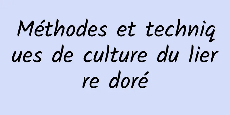 Méthodes et techniques de culture du lierre doré