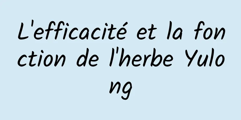 L'efficacité et la fonction de l'herbe Yulong