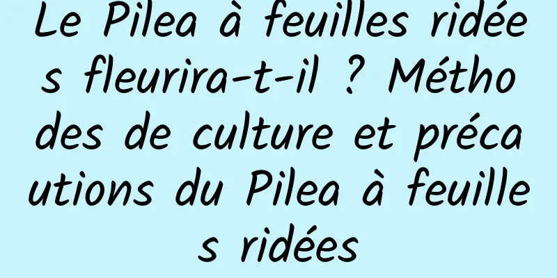 Le Pilea à feuilles ridées fleurira-t-il ? Méthodes de culture et précautions du Pilea à feuilles ridées