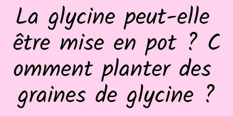 La glycine peut-elle être mise en pot ? Comment planter des graines de glycine ?