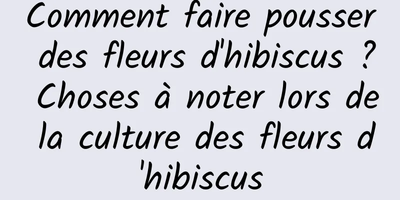 Comment faire pousser des fleurs d'hibiscus ? Choses à noter lors de la culture des fleurs d'hibiscus