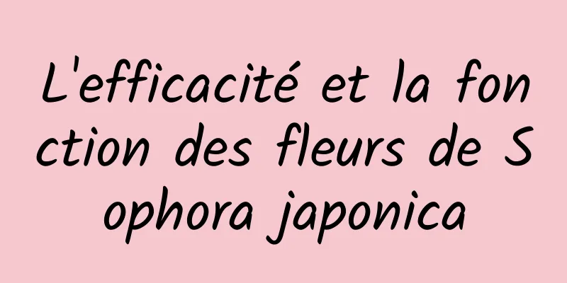 L'efficacité et la fonction des fleurs de Sophora japonica