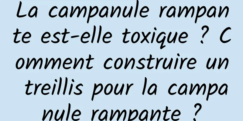 La campanule rampante est-elle toxique ? Comment construire un treillis pour la campanule rampante ?