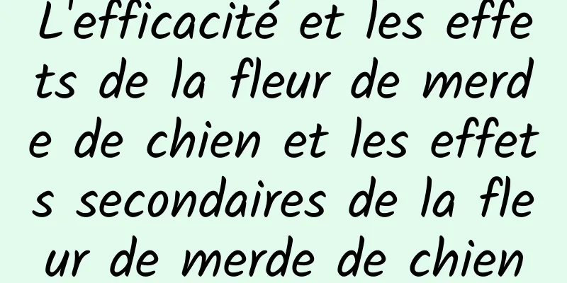 L'efficacité et les effets de la fleur de merde de chien et les effets secondaires de la fleur de merde de chien