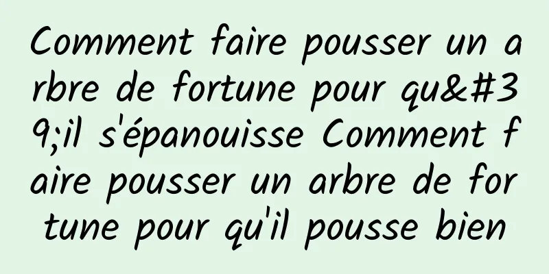 Comment faire pousser un arbre de fortune pour qu'il s'épanouisse Comment faire pousser un arbre de fortune pour qu'il pousse bien