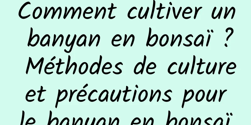 Comment cultiver un banyan en bonsaï ? Méthodes de culture et précautions pour le banyan en bonsaï